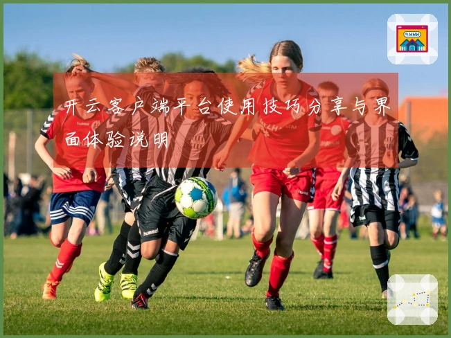 开云客户端平台使用技巧分享与界面体验说明
