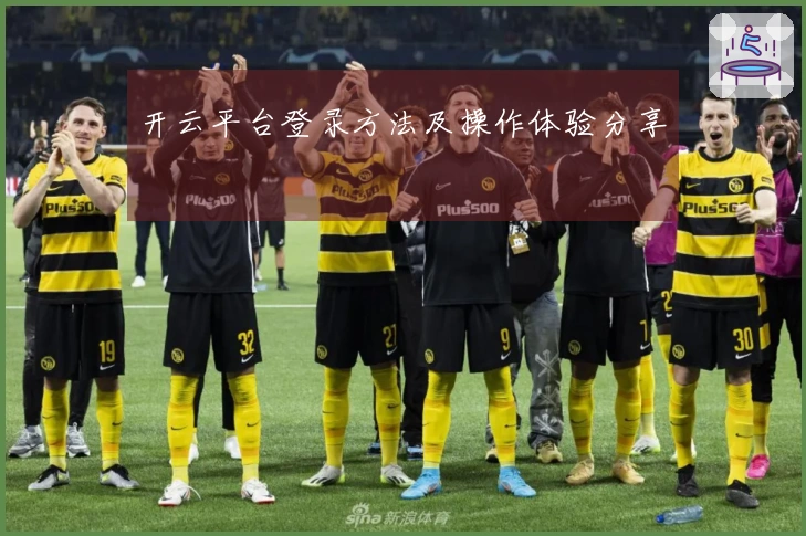 开云平台登录方法及操作体验分享